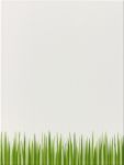 Декор Steuler LOUIS & ELLA «Трава» Кремовый/зеленый 25х33см