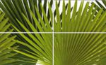 Панно Palm Mix Panello 4 pz. 25*40 см