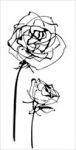 Декор Decor Roses Blanco 30x60