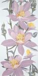 Декор alaska lila orlik 30x60 см