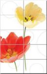 Декор Tulip Panello 10 pz. 62,5*40 см