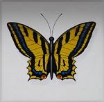 Jasba Butterfly декоры для стен 1 Бабочка