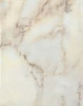 Calacatta Bianco 27x34 см