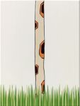 Декор Steuler LOUIS & ELLA «Шея жирафа в траве» белый/бежевый/зеленый 25х33см